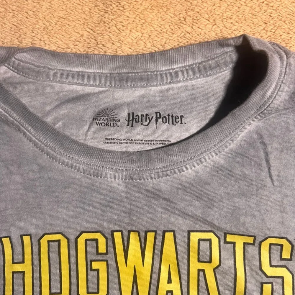 Harry‎ Potter Wizarding World Youth 2XL (18) Gray Hogwarts Crest T-Shirt